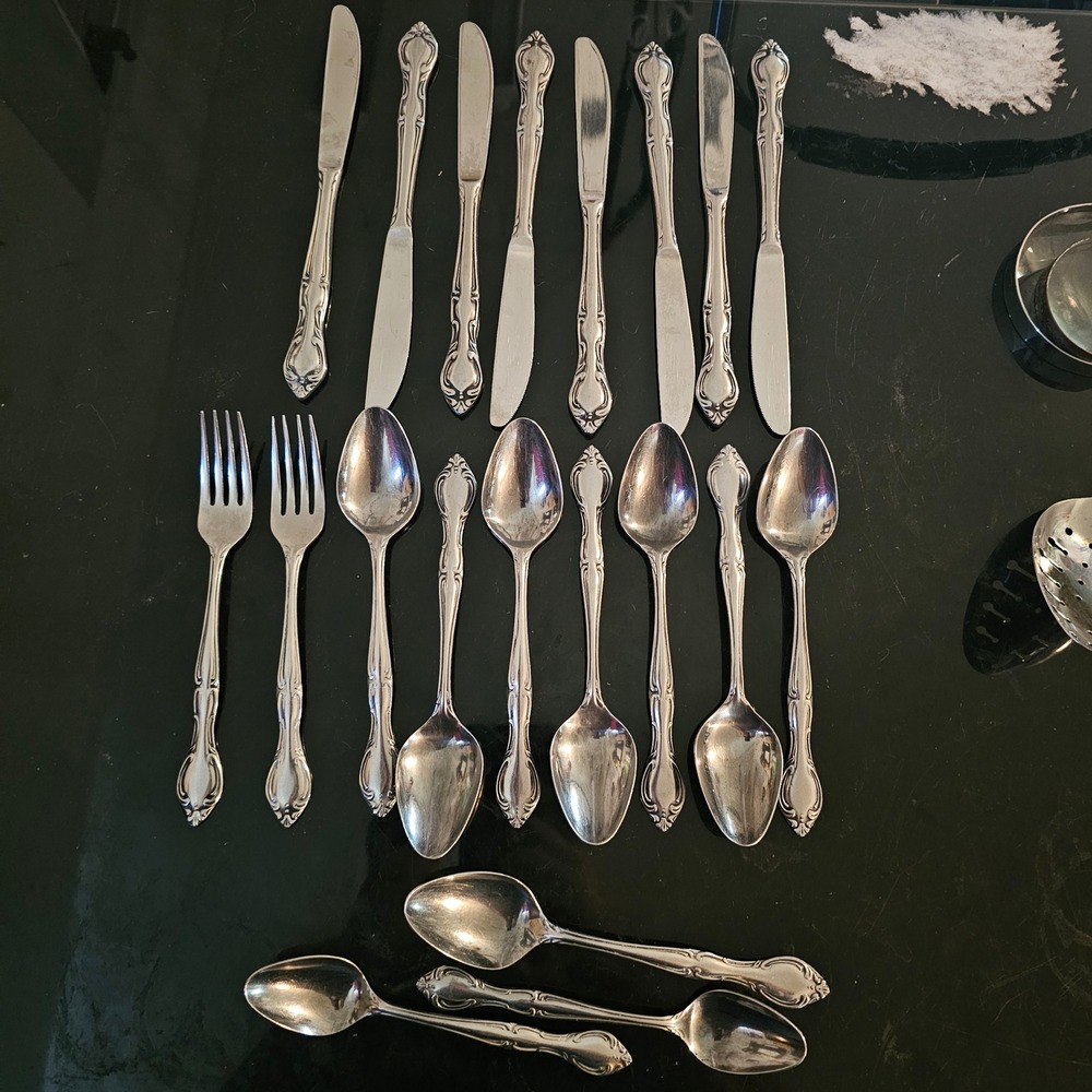 Hampton Court Stainless Steel Flatware Set 20pc Japan Ornate Scroll Floral Metal